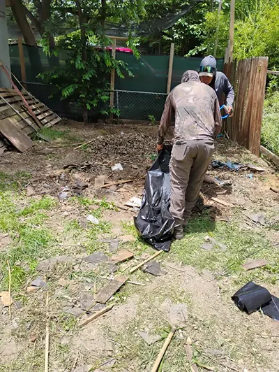 Two workers cleaning up scrap wood and debris in a backyard, filling a black trash bag