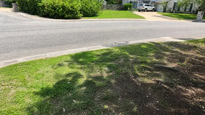 The same grass strip and curb after pickup, with everything cleared away